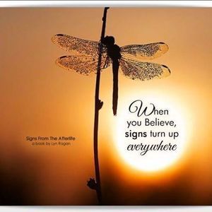 Meet your Posher, Caryn